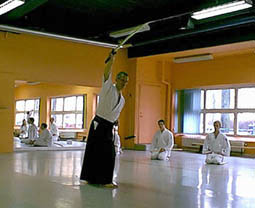 Stefan Stenudd teaching iaido.