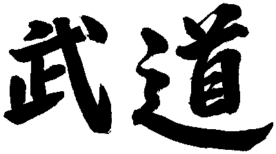 Budo in Japanese kanji.